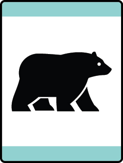 Bears Habitat