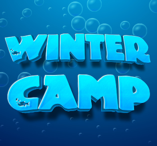 Winter Camp
