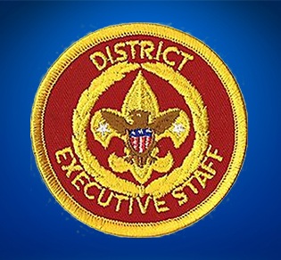 District Executive