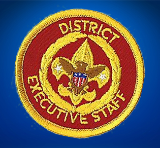 District Executive