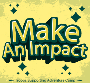 Make an Impact