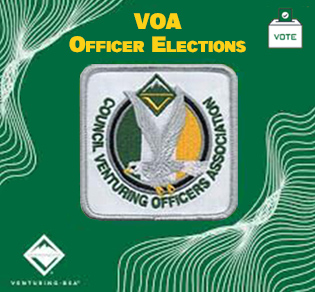 VOA Elections