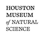 STEM
